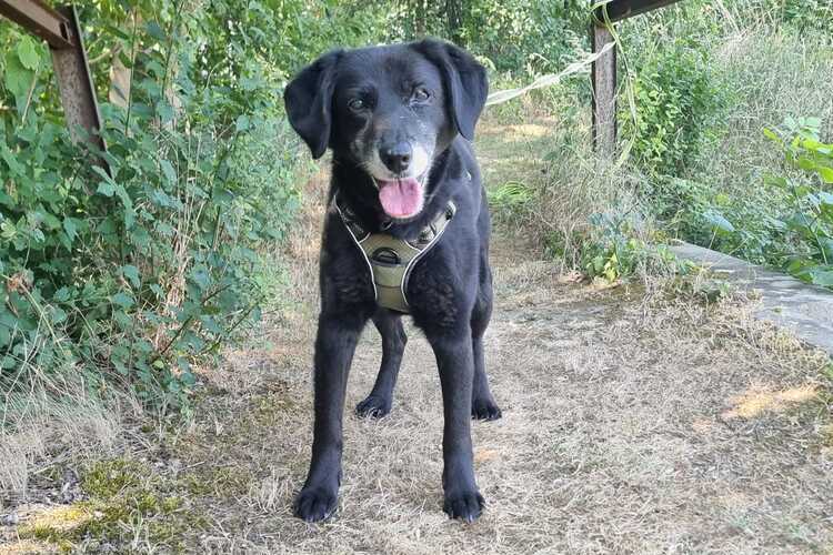 Luna (2)