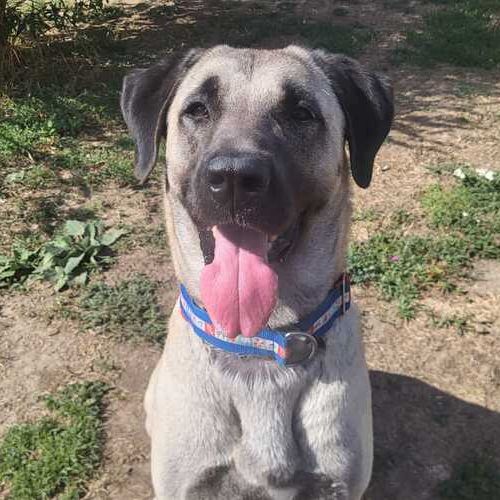 Bailey-20260823-WA0043 Bailey-20260823-WA0043