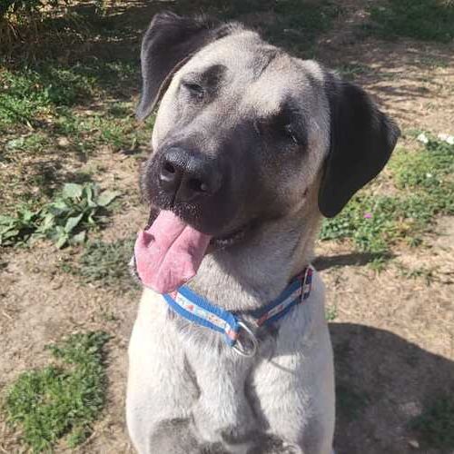 Bailey-20260823-WA0045 Bailey-20260823-WA0045